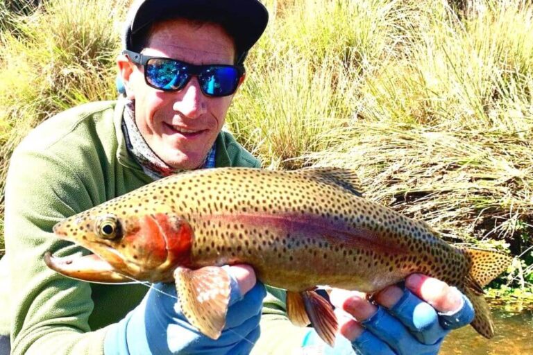 pesca con mosca 04 768x512